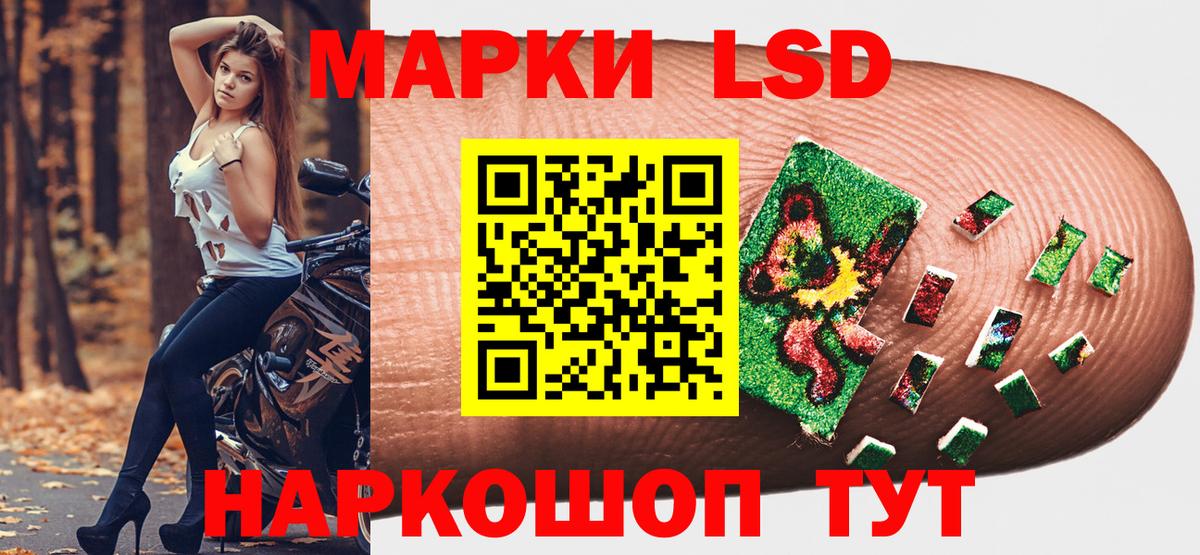 Марки 25I-NBOMe 1,5мг Лесной