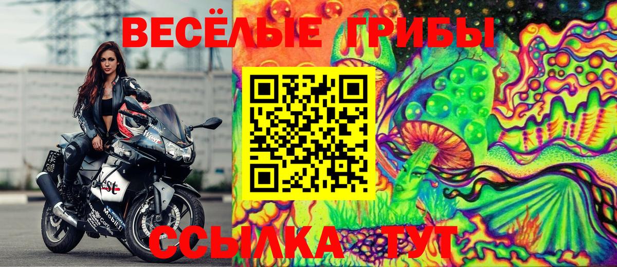 Лесной  Псилоцибиновые грибы Cubensis  Вход с VPN  Псилоцибиновые грибы прущие грибы 